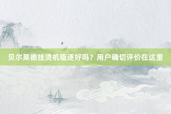贝尔莱德挂烫机驱逐好吗？用户确切评价在这里